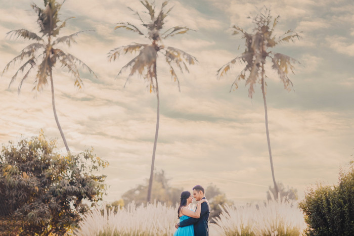 Collection 76 photo by Shail Chudgar