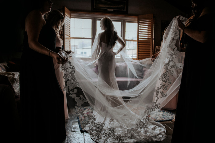 Collection 50 photo by Aly Kuler