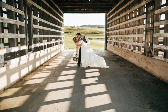 Collection 31 photo by Lindsey Koppenheffer