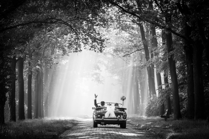 Collection 83 photo by Jan Van De Maat