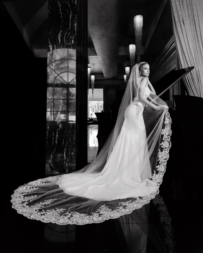 Collection 36 photo by Stacia Morgan