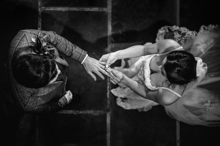 Collection 97 photo by Janusz Trzesicki