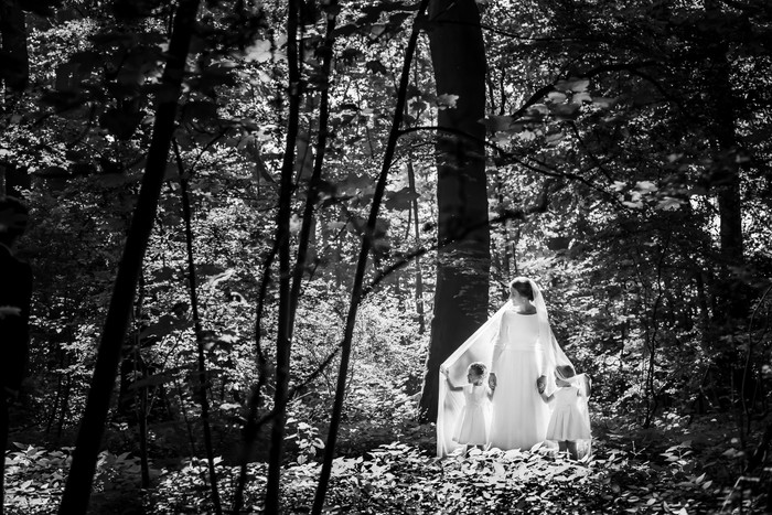 Collection 96 photo by Jan Van De Maat