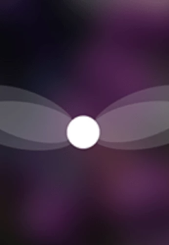 Talking Fly