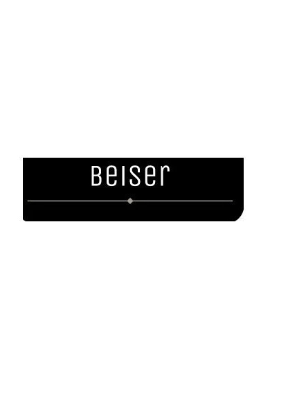 Beiser Co.