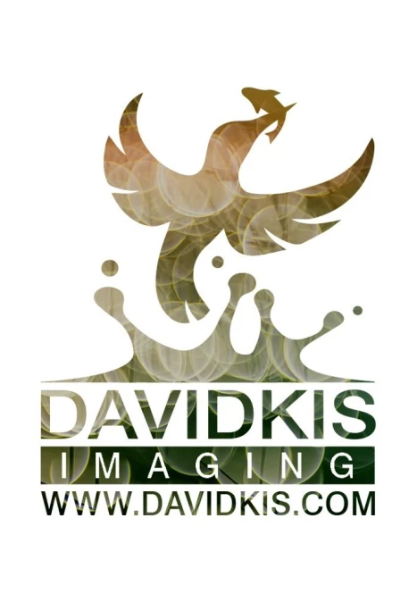 David Kis