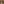 Bij het zien van dit pampasgras wist ik meteen hoe de foto eruit moest komen te zien. Het zachte gras gecombineerd met de warme kleuren van de herfst vormde het perfecte decor voor dit intieme moment. Het resultaat? Een foto die voelt als een schilderij, vol liefde en warmte. Dat deze foto nu een Wedisson Award heeft gewonnen, maakt het extra bijzonder!