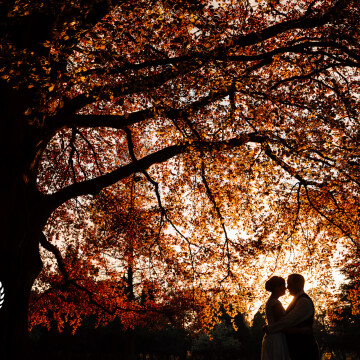 I caught this beautiful golden hour with Jodie and Steve at Fanhams Hall in Hertfordshire,  interrupting the dancing to get the shot.