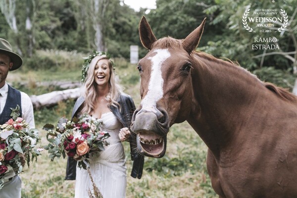 I try and make my portrait shoots as much fun as possible, less about posing and more about the couple being themselves and having a good time. And when a horse is involved and it's having a good time, everyone's having a good time!
