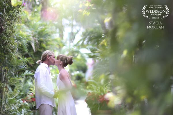 <br />
This photo was taken using an 85mm prime lens in natural light. I framed the couple by photographing through some floral vines that dresses the walkway. <br />
<br />
<br />
