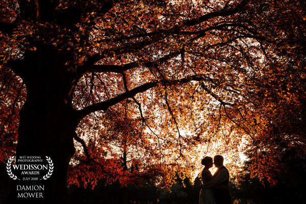I caught this beautiful golden hour with Jodie and Steve at Fanhams Hall in Hertfordshire,  interrupting the dancing to get the shot.