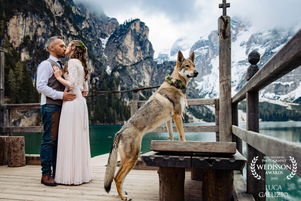 This image was taken at Braies Lake, in Italy, really a stunning place. From the wedding of Ilaria and William with their beautiful Wolf Athena.