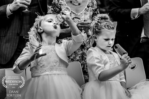 Children at a wedding. Casual and thoughtless sincerity in every move. I keep them in my log corners all the time. I thought this moment during the toast was so funny. Cheers!