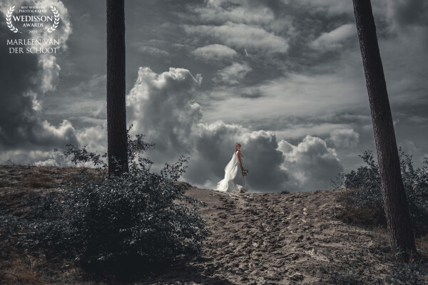 Love the clouds and the dress, it all comes together.