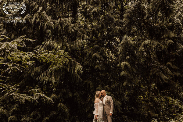 After a whole day of rain, finally wedding photos outside in the woods after dinner. Location Schove...