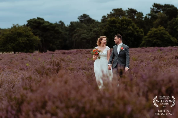 It is only a very short period that the heather is so beautifully purple. Especially in combination...