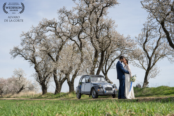 Las bodas de Marzo te regalan siempre unos buenos Almendros.
