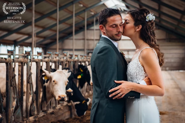 If you’re getting married as a farmer and farmer's wife, then the cows should be there as witnesses.