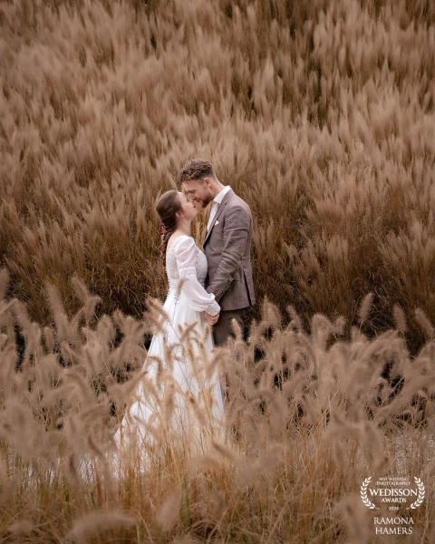 Bij het zien van dit pampasgras wist ik meteen hoe de foto eruit moest komen te zien. Het zachte gra...