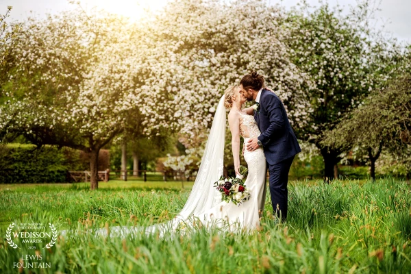 A little dip kiss beneath a blossoming tree, with Laura and Adam framed perfectly by springtime blooms in the gardens of Lanwades Hall.