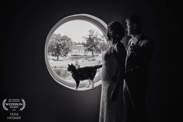 Family Portrait with natural light.