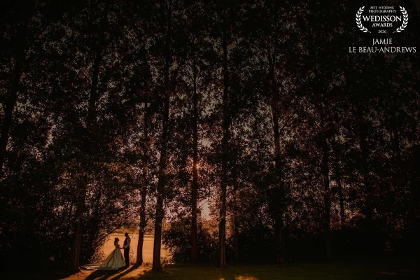 Taken at sunset, where a narrow break in the trees opened just enough light.
I stepped back and let...