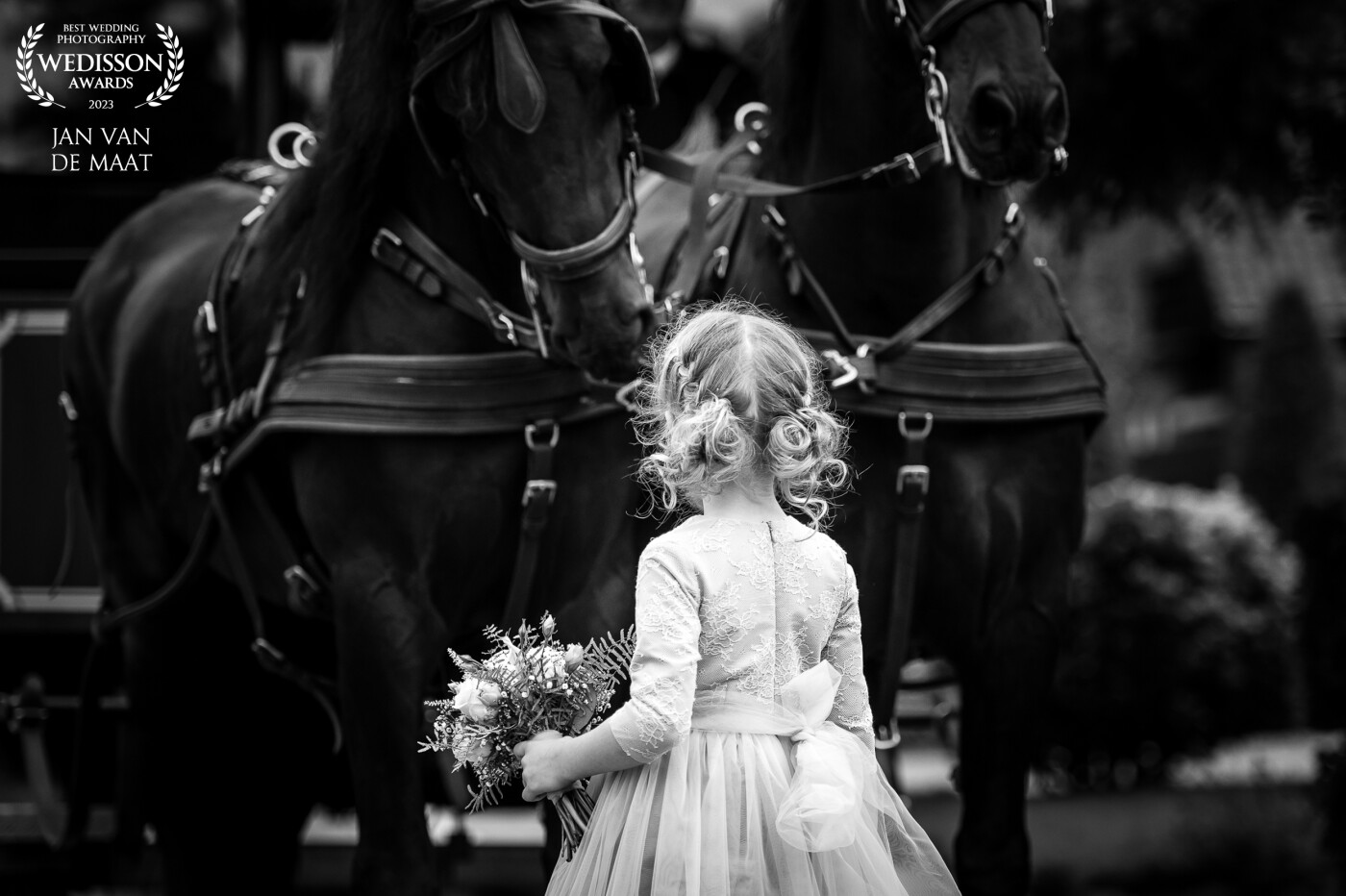 This flower girl with bouquet was standing in front of the two horses. The horses were in front of the wedding coach which was parked aside the road. The flower girl looked at them almost daydreaming and one horse looked back at her like they were talking.