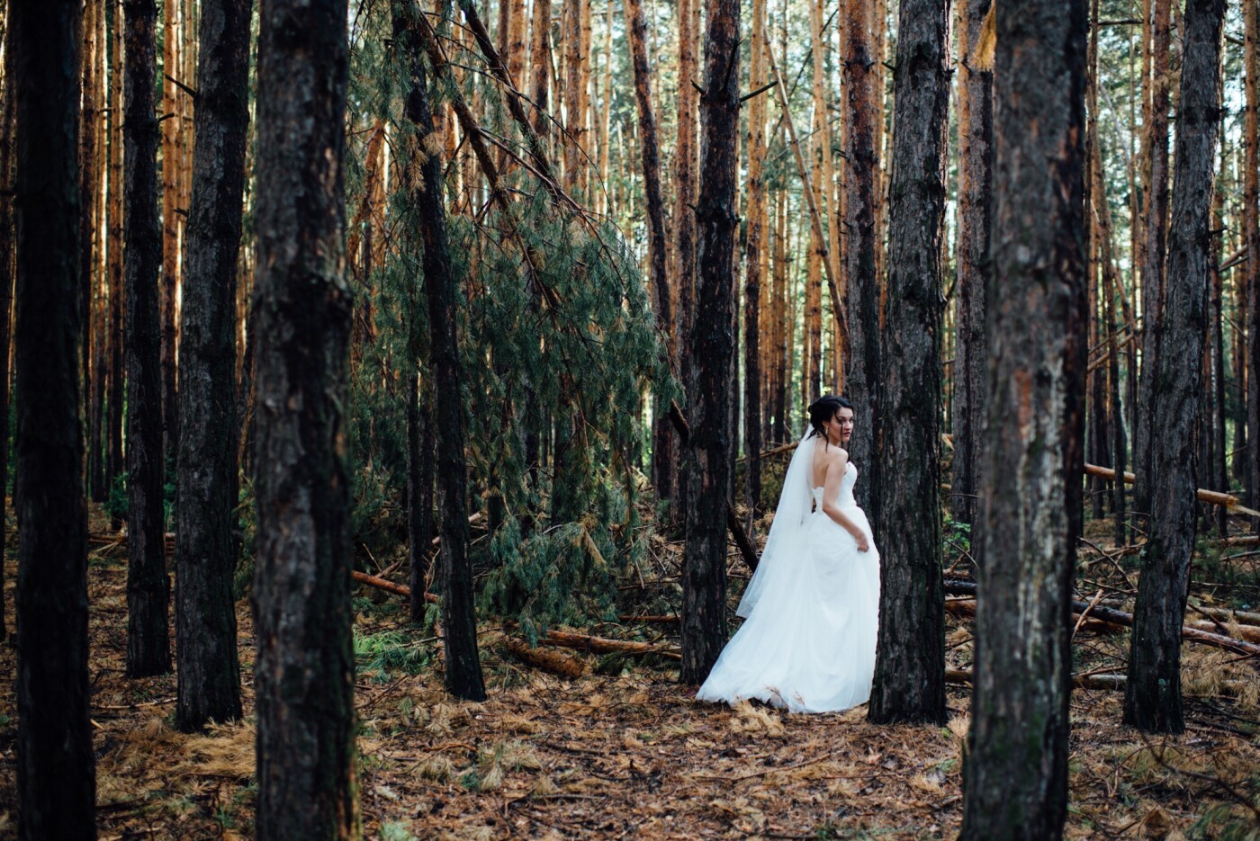 This is an amazing forest we find in central Russia. It was the road to the tiny lake named Borovushka, which situated near Chelyabinsk city, Russia.<br />
Ancient pines swayed by every breath of wind. I wanted to capture the bride among the broken trees and convey the atmosphere of the grandeur of nature.