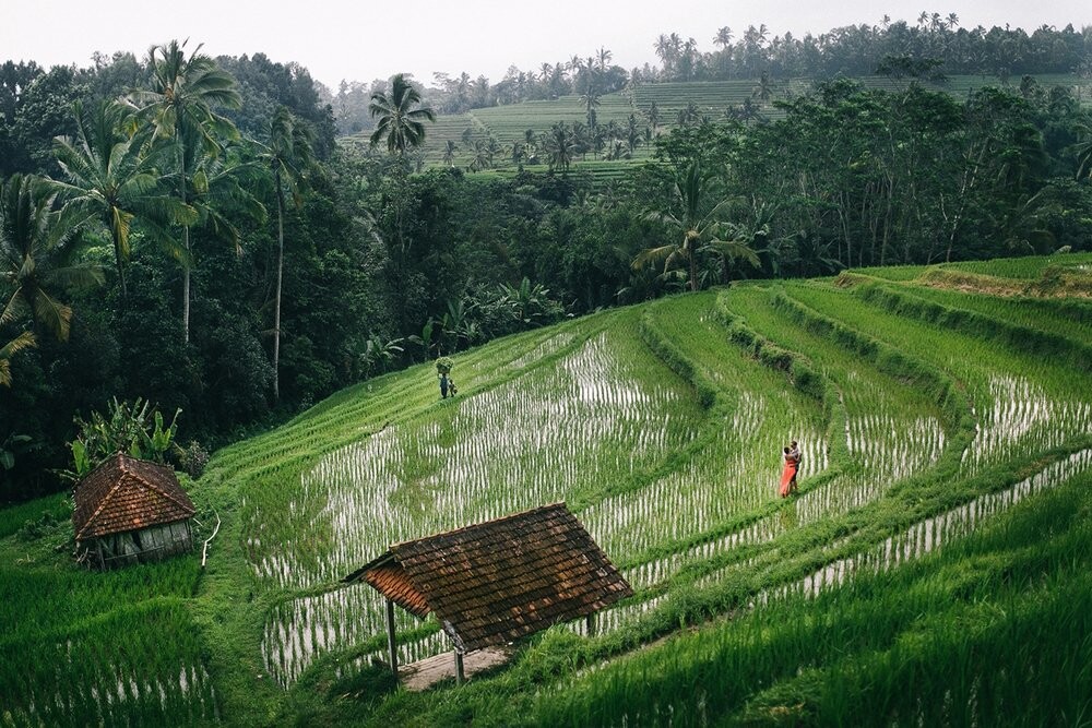 This photo was taken on the most beautiful rice terraces of Bali in the heart of the island. I shooted the love story for Miroslav and Irene. Within a few hours we met a few people, including the woman and the boy, who has cultivated a rice field.