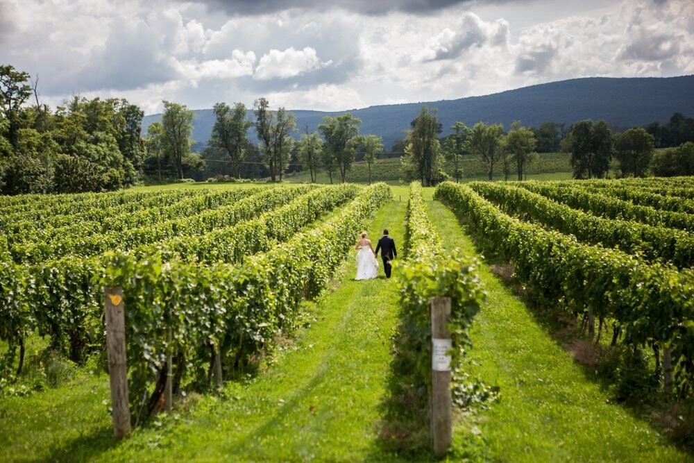 Both the bride and groom love traveling and some good wine so when they decided on having the wedding they chose Breaux Vineyards in Purcellvile Virginia as their destination for the ceremony. The perfect setting for a perfect day. With a storm rolling in from the distance and the sun shining overhead the couple decided to get up and take a nice long walk together through the rows of grapevines that the vineyard produces every year. As I stood on the hill I wanted to make sure I captured the beautiful landscape along with the amazing lines of fresh grapes and the couple as they had a very intimate moment.<br />
together. It was breathtaking to see as I stood on the hill looking over through my lens and I was honored to be their go-to guy to capture it. Congratulations Tony and Alex!