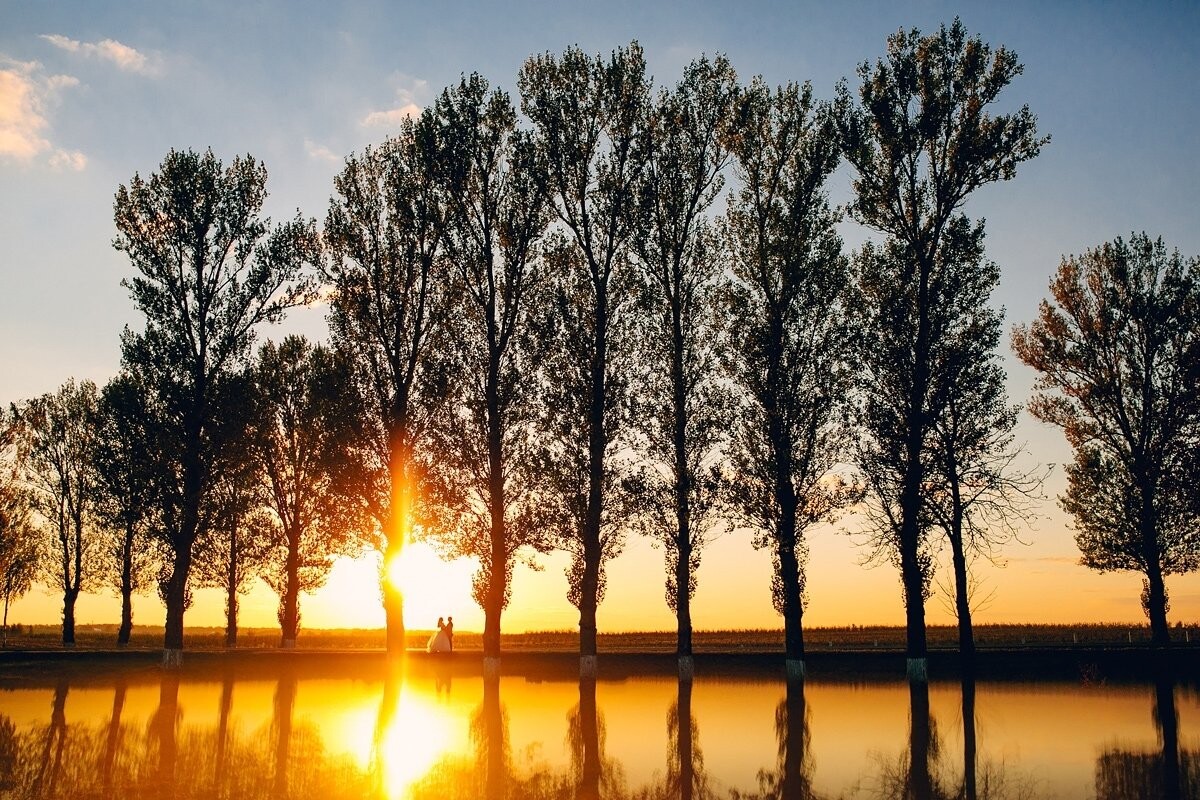 This story happened on a country road running along the lake. The trees created a certain rhythm and I liked it very much. The evening sun beautifully highlighted silhouettes and reflections in the lake looked awsome. Thus the photo was captured.