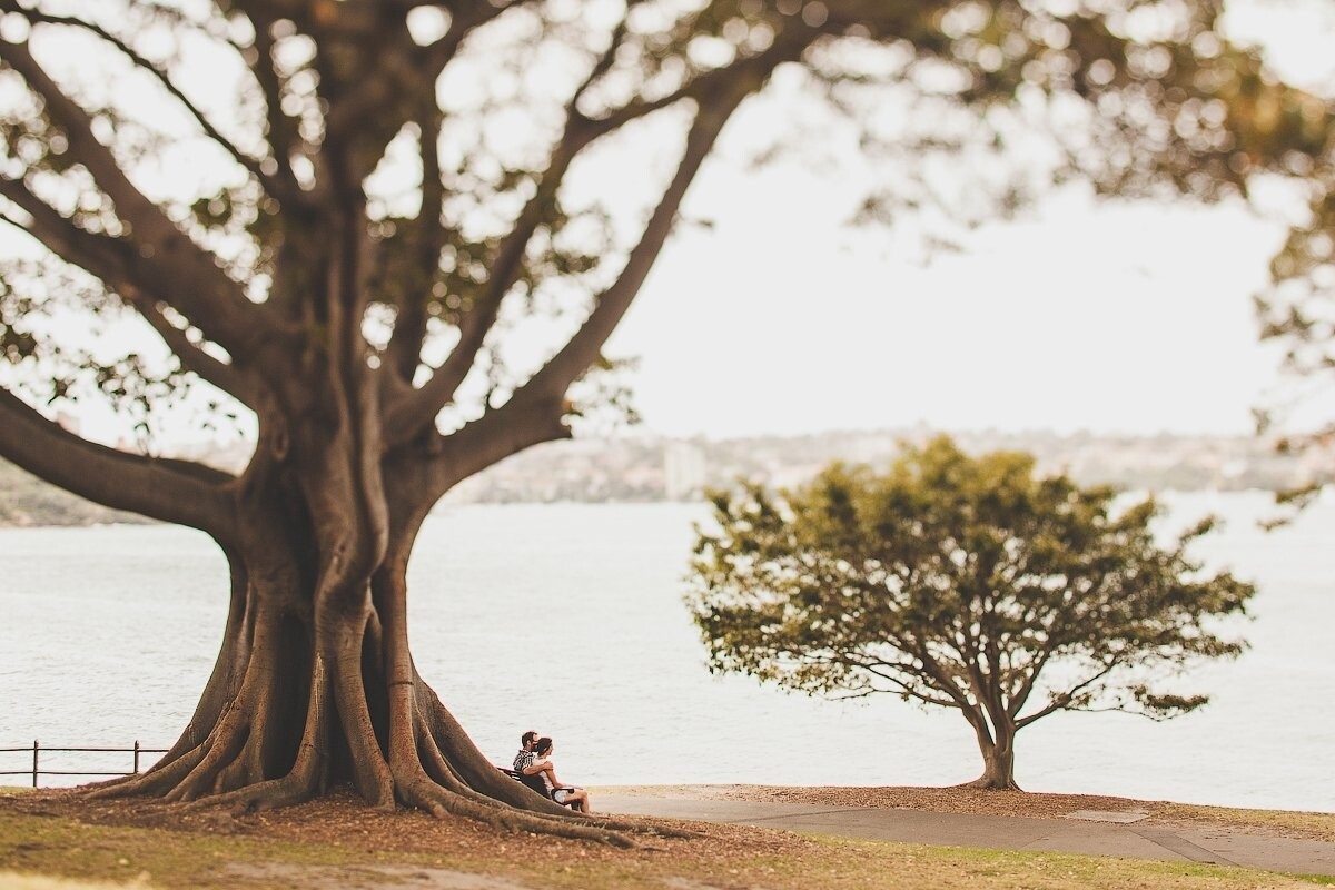 This couple loves each other. We walked in Sydney Royal Botanic Garden. My attention was attracted by a huge tree, its unshakable strength in comparison with a man shocked me. Only the power of the human relations can be compared with the power of nature. They were alone under the canopy of trees.