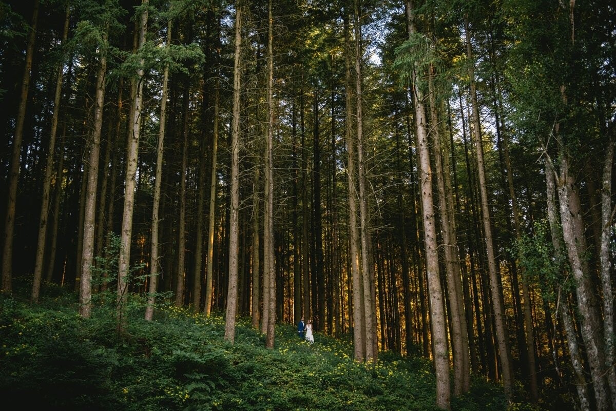 This couple had a very rad wedding, with a ceremony outside a castle in Auvergne. However we decided to head to the woods for their couples session, during sunset. Those woods were truly magical, and when I saw this small cliff, I asked them if they were up to climb up there for me, and they said yes! It took them around 10 minutes to go up there, but when they did, the sun was lighting perfectly the trees and it was really magical!