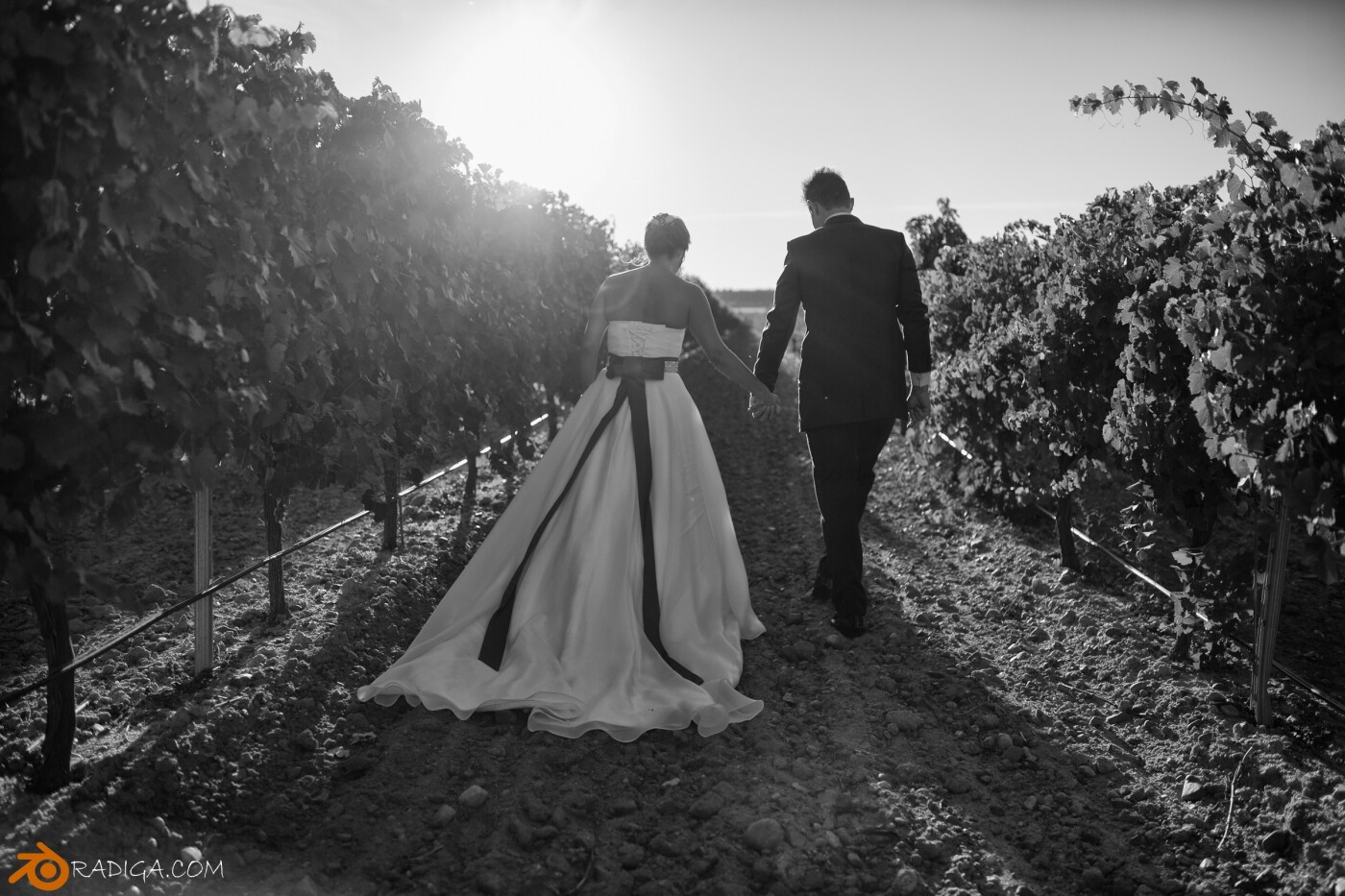 Agustín and Natalia celebrated their wedding day at "Ribera del Duero" an important wine producing area of Castilla y Leon in northern Spain. It was the end of summer and the vineyards were amazing. We were very lucky with the light, when the sun began to set light seeped between strains. We take the opportunity to play with lights and shadows to capture the atmosphere of that special day. it was perfect!!