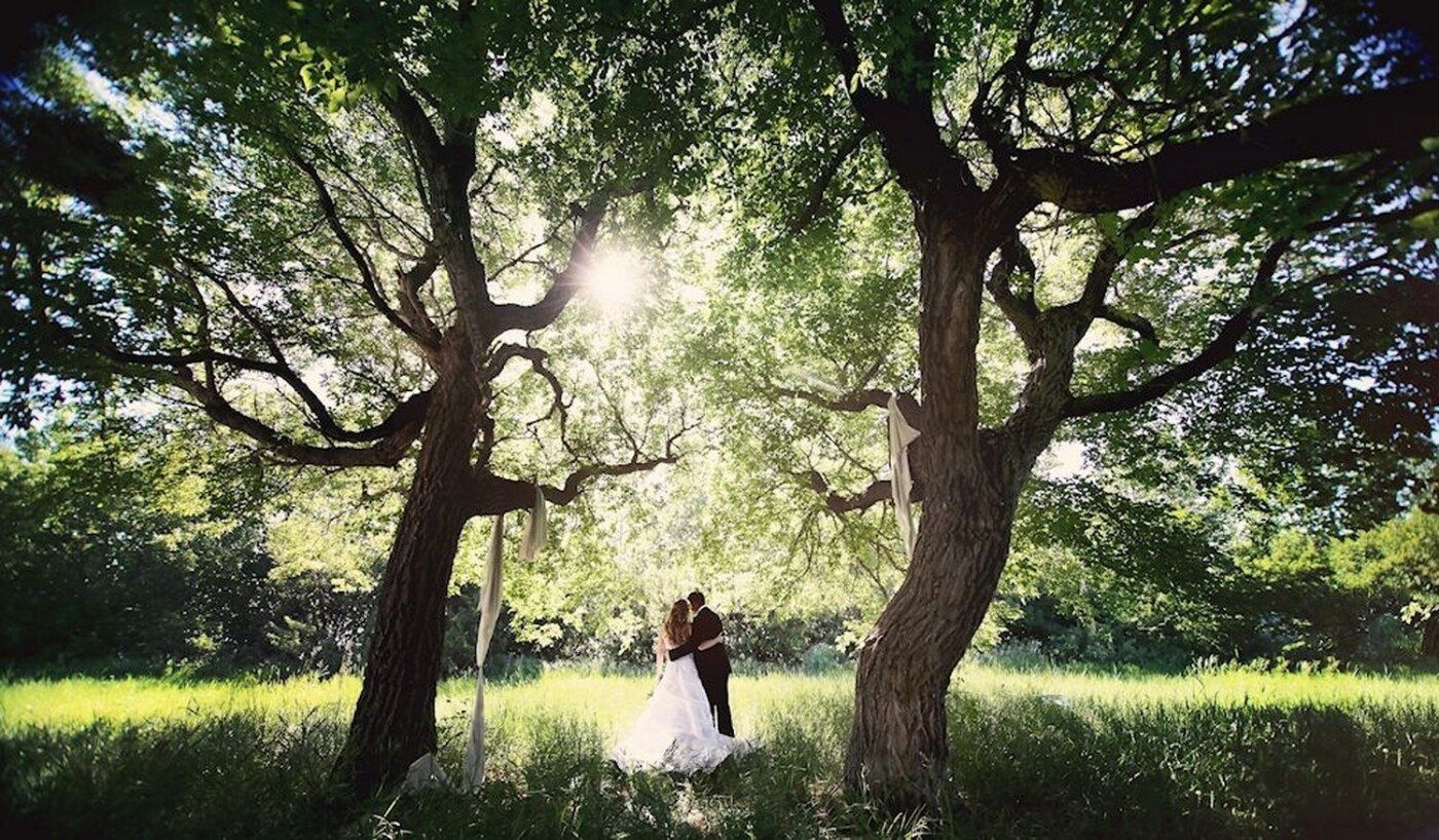 Ashley and Adam were such a fun and romantic couple! For their wedding day we headed out to an abandoned farm yard and the bride soon pointed out these two beautiful twin trees that just so happened to have the sun coming through them making the scene radiant!
