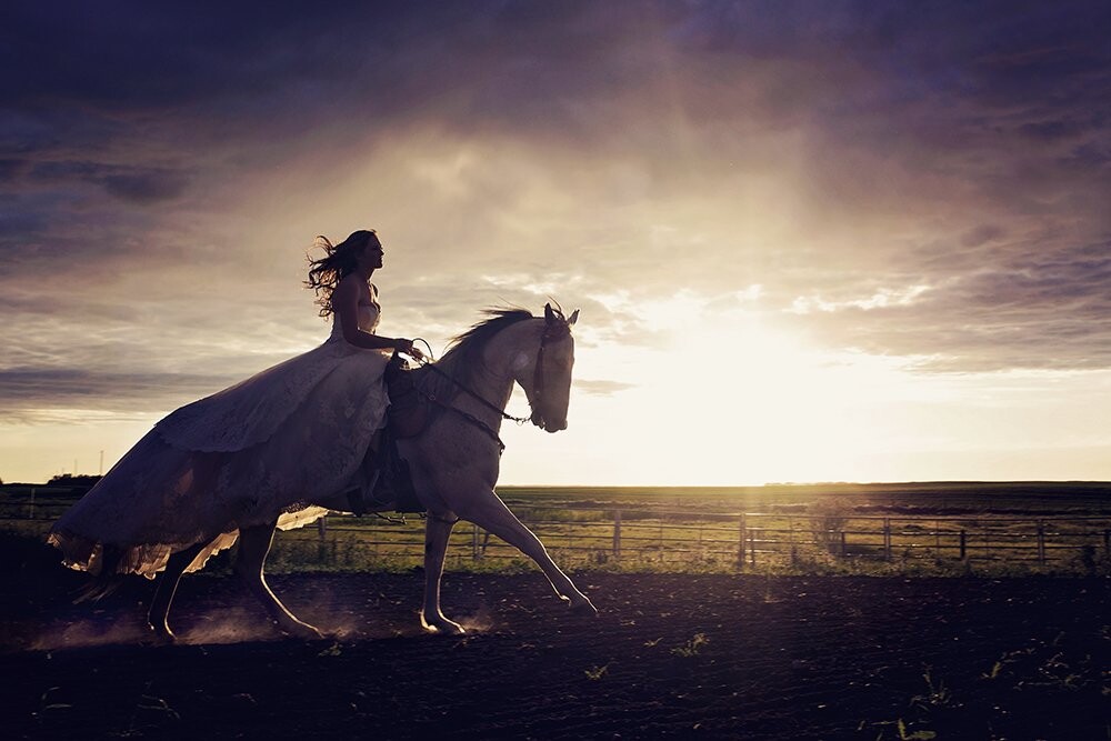 Leanne has always been a joy to work with, and her photos with her horses on the couples' farm were effortless and so much fun to take! The warm sunset paired nicely with the horse and rider. 