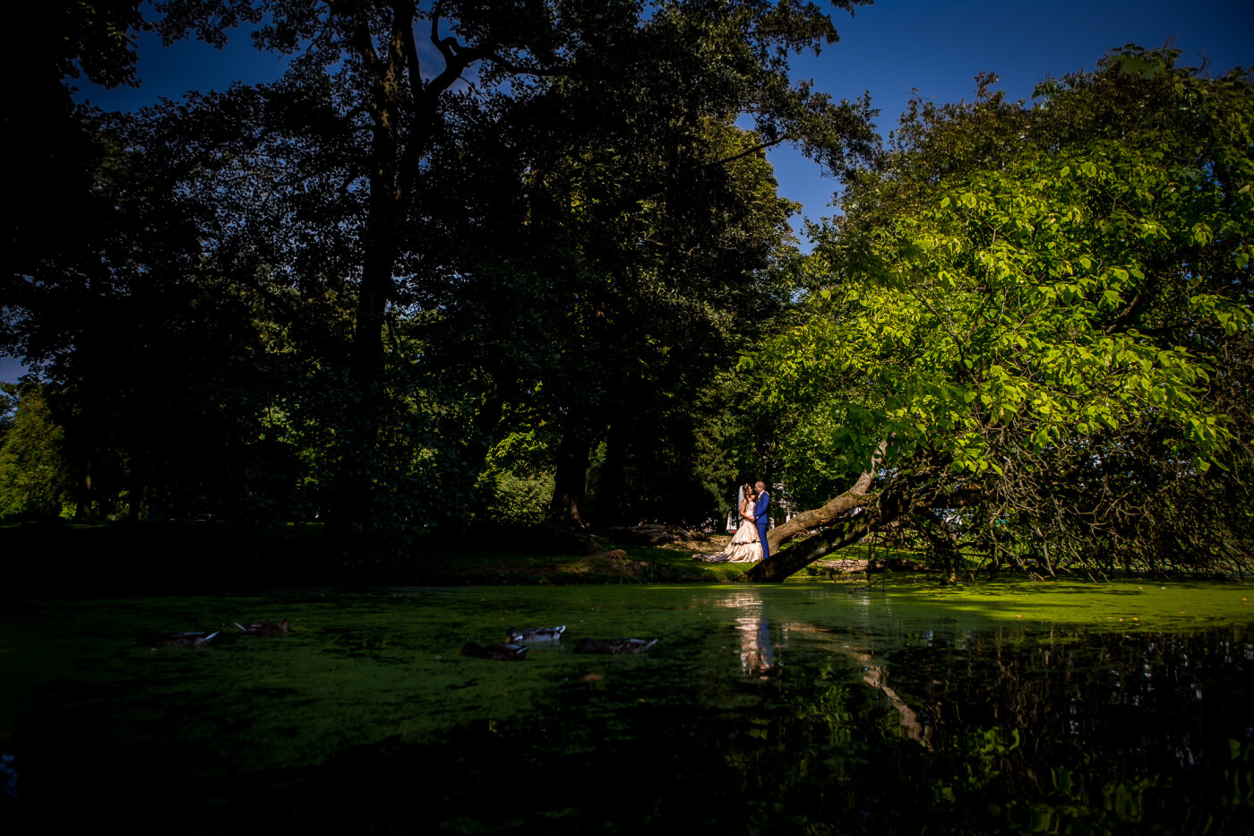 After the ceremony we went in Rotterdam , in the park at the Euromast we shot this photo , the sun shone beautifully in the clearing where I photographed the wedding couple