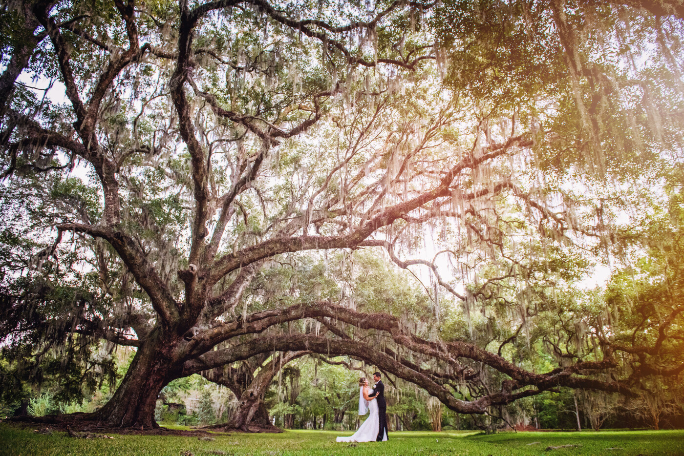 A late evening shot from Andy and Amber’s wedding at Magnolia Plantation and Gardens.  As many weddings do, we were running a bit behind and running out of light, this was one of the last shots we got in before it was too dark to use natural light.<br />

