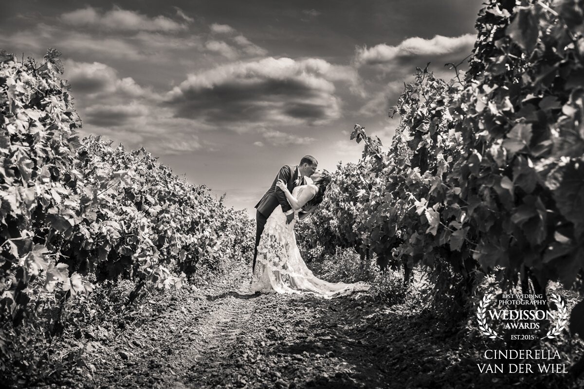 This photo was amazing, a nice day in the middle of wine yards .. it was hot , the sun shining, the sky beautiful, and a lovely couple.