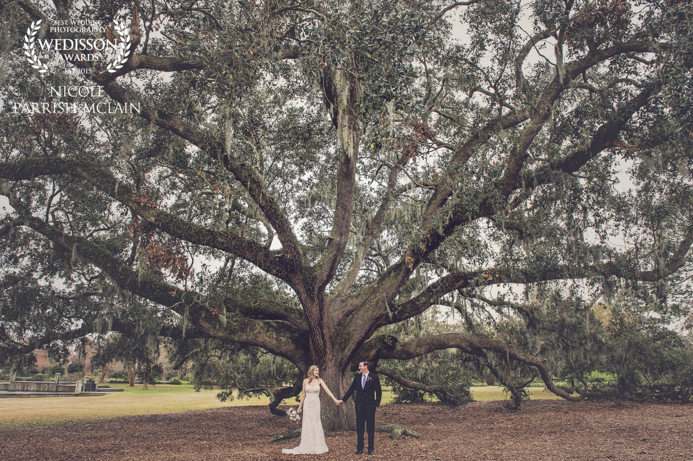 I was fortunate enough to be asked to document my brothers sweet wedding.  Robert and Lisa were married on the first day of the new year, under one of our gorgeous grand live oaks, here in Charleston.  Such a special day for both of them, and our whole family.  