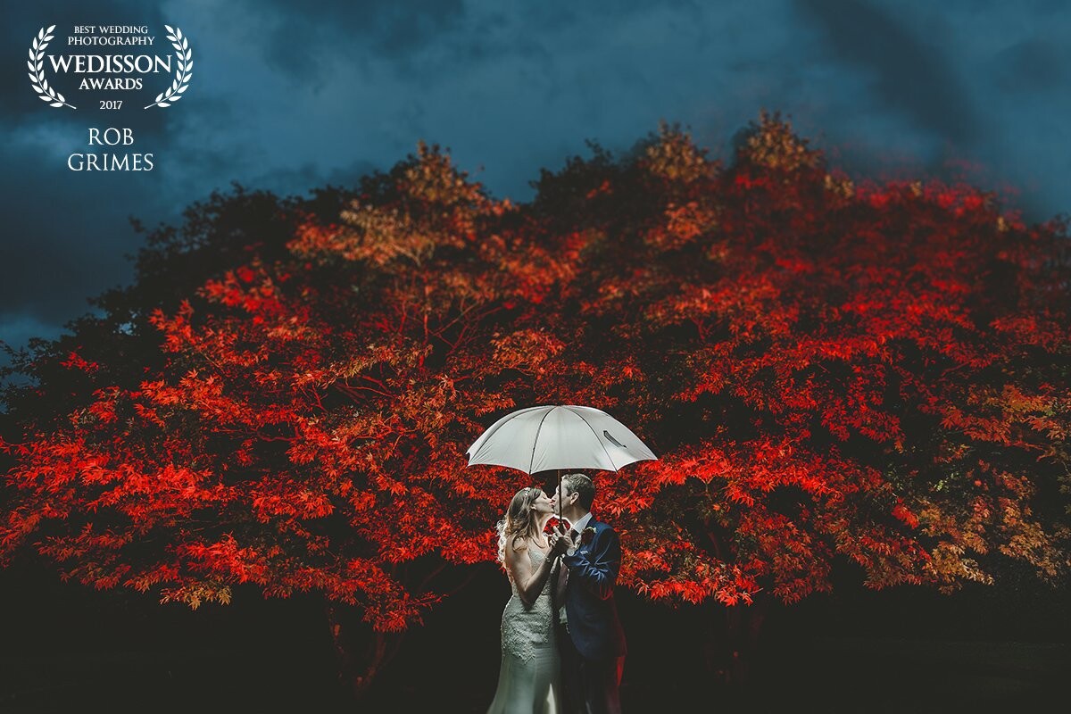 Towards the end of the day, I saw this tree and decided I wanted to light it up with an autumn feel, with some deep reds. <br />
<br />
So I used 3 speed lights with red gels behind the couple. The bride held the umbrella and the groom held a diffused speed light behind him. Took a couple of tries, but well worth the set up and feel of Autumn.