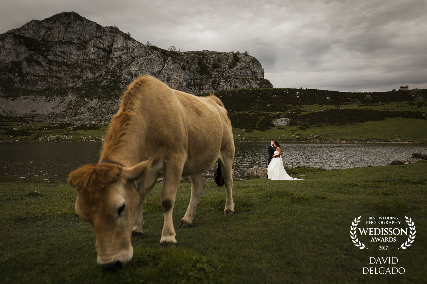 High Mountain Wedding - When Ángel and Silvia proposed to us to make this wedding we loved the idea. The place is Lagos de Covadonga, formed by two small lakes the Enol and the Ercina of glacial origin located in the western massif of the National Park of Picos de Europa in Asturias (Spain). A beautiful place on planet Earth where pure oxygen is breathed and where cows live in their home.