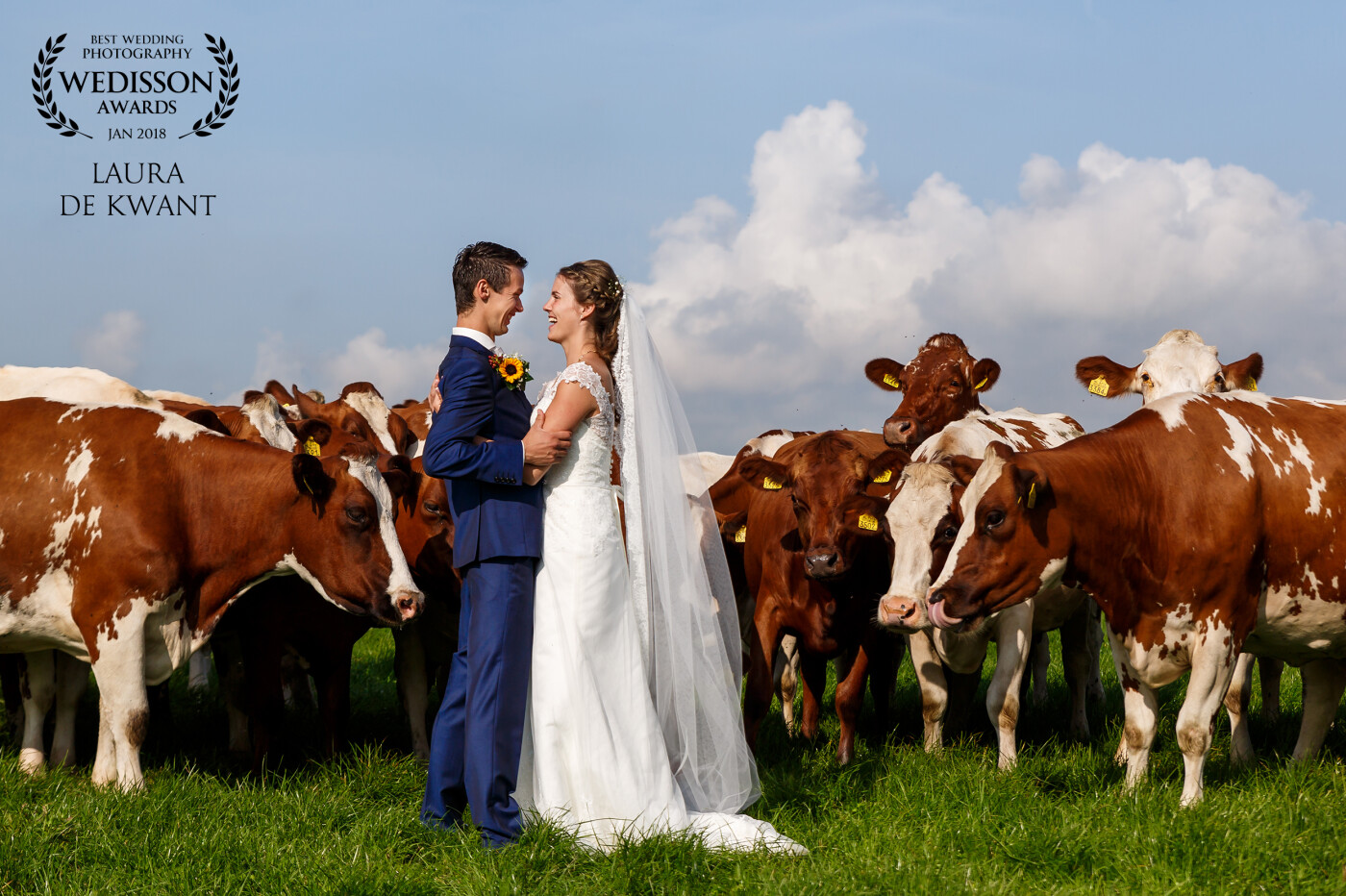 Meet this cute couple! They have their own farm and their wish was to make pictures on the farm on their wedding day between the cows. How awesome is this?! This photoshoot was really special to me!