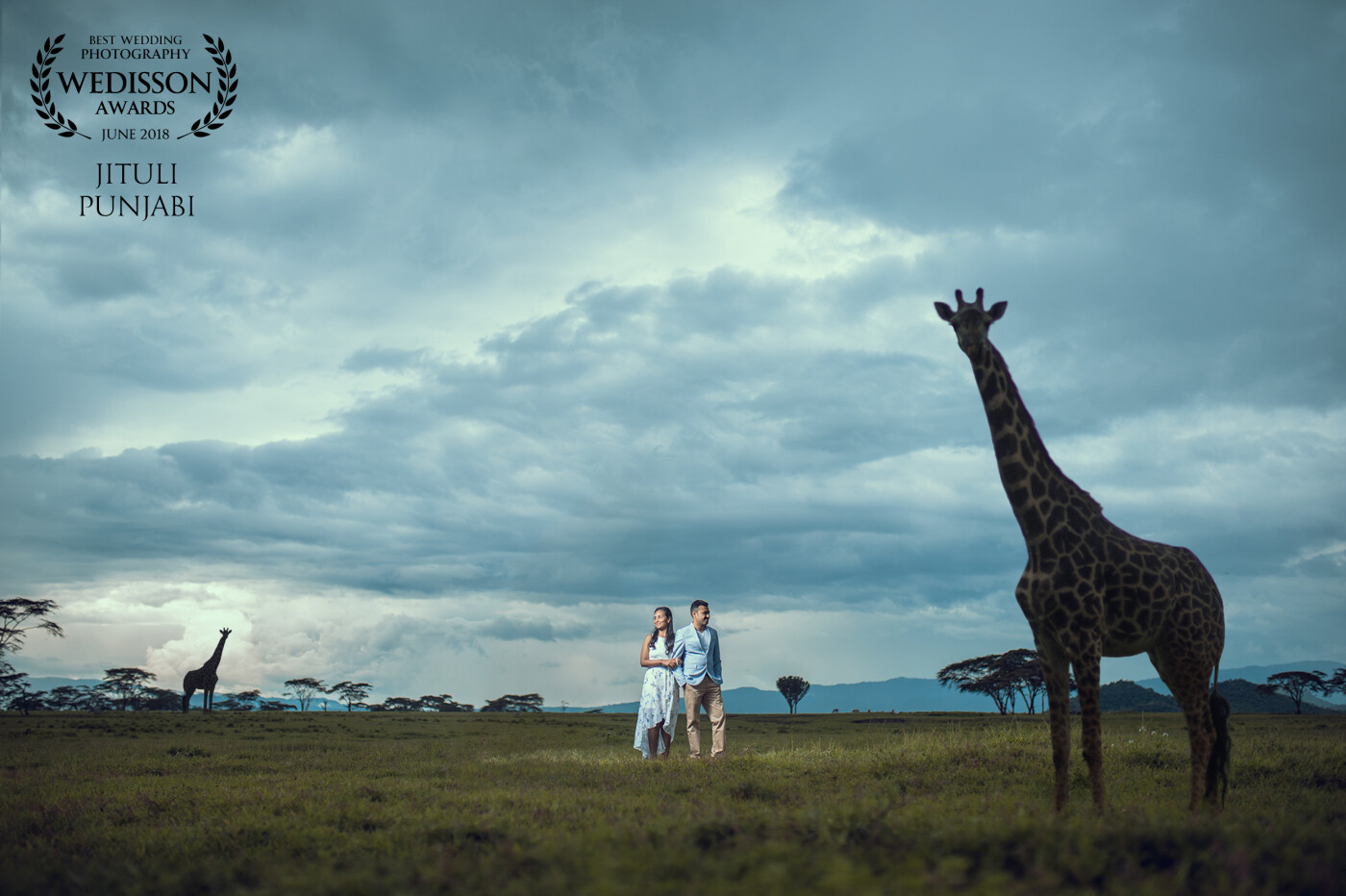 Holy giraffe <br />
When you ask your couple what’s your requirement and they say “we want a photograph with a giraffe!”<br />
After chasing a  Camera shy giraffe for 35 minutes to get in the frame when you give up and decide to not move for the next 20 minutes you realise giraffes also have heart. And YES ... it probably looked at our sad faces and decided to walk straight into our frame with big SMILE ! 