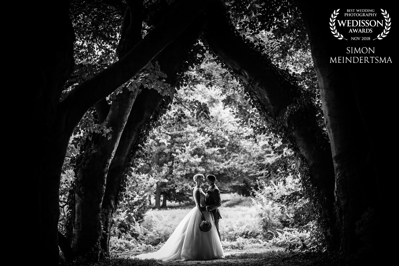 Amazing trees at a gorgeous venue these oak trees are the perfect setting for this image, the love this couple has is just amazing!