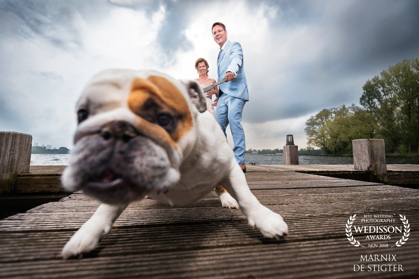 This amazing bulldog (called Yoda) was so curious that he wanted to get as close to the lens as possible. Taken at 16mm, about 10 centimeters away from his nose :)