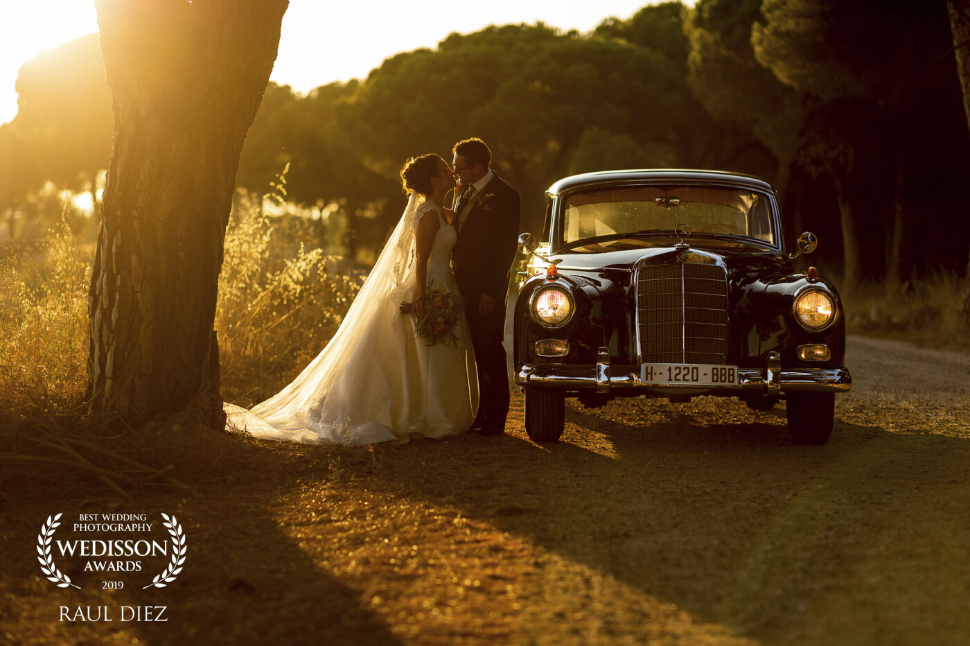 During a few minutes we had before the coctail, we found a wonderful light. <br />
We took full advantage of 10 minutes before sunset. <br />
A beautiful pine forest, the couple in love and the old car did the rest. <br />
The photo is taken in Simancas, a beautiful town very close to Valladolid, Spain. <br />
More photos in radiga.com