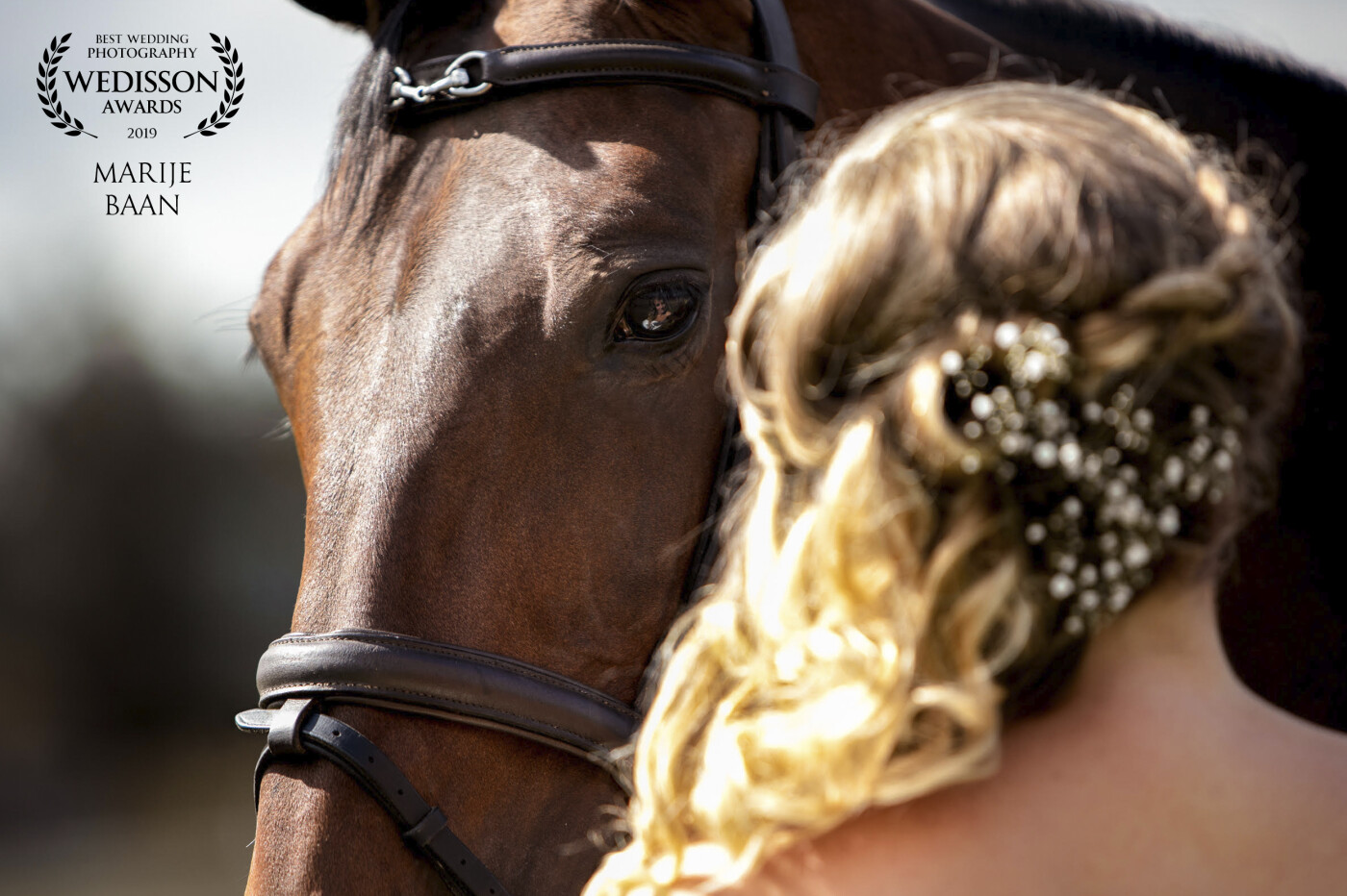This horse was so special to the bride. You can see the special connection in the eye of the horse. The reflection is extra if you ask me.... Sadly the horse passed away shortly after the wedding, so the picture has become even more special an precious to all of us.