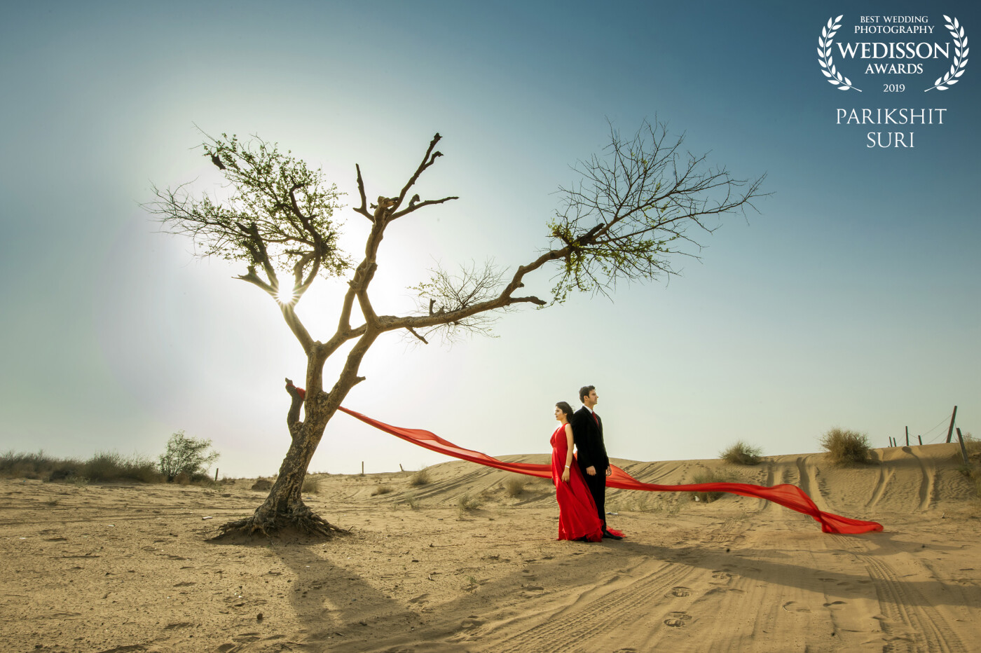 This image show the strength of a relations where with all the difficulties which is depicted by the colour red and the calm which is depicted by the pastel colour of the sand and the strength of their love which is depicted by the standing strong dead tree in the desert. shot on my Nikon D 810..