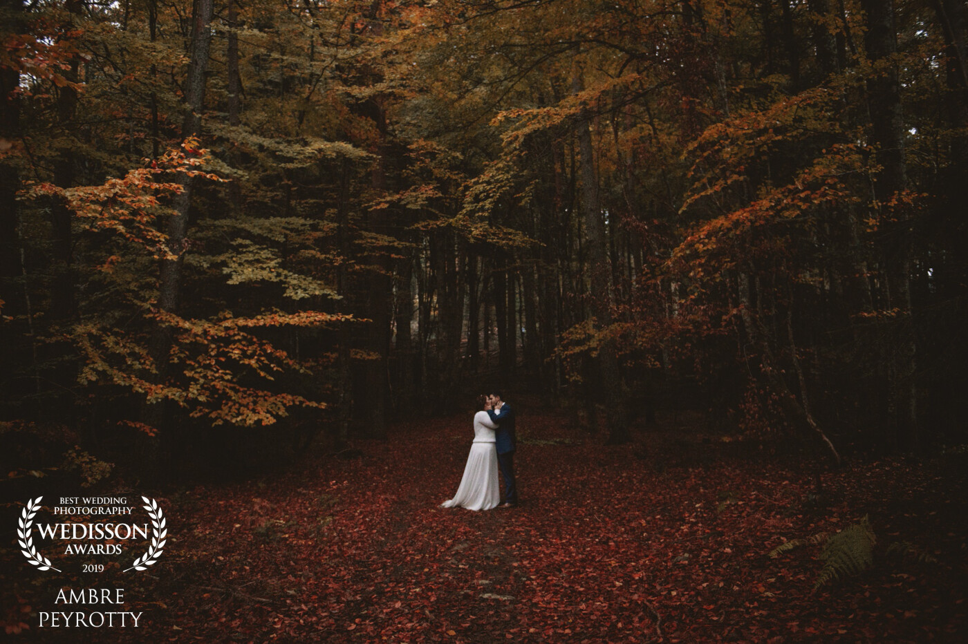 This is actually one of my favorite pictures of this couple. We headed to the forest for their couples pictures and I stumbled upon this part of the woods that was filled with branches searching for light, hence the same direction they were taking!